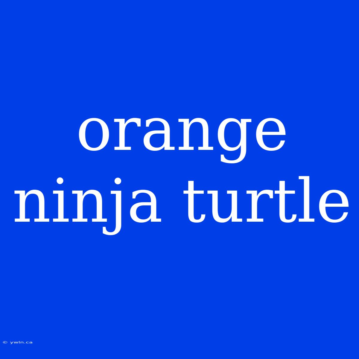 Orange Ninja Turtle