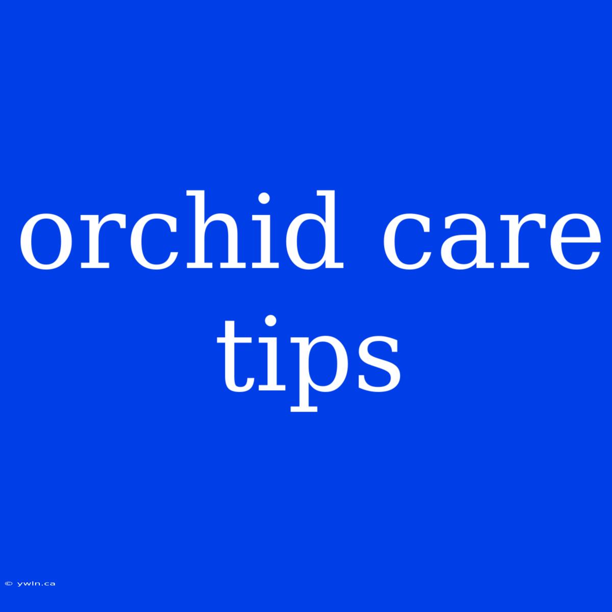 Orchid Care Tips