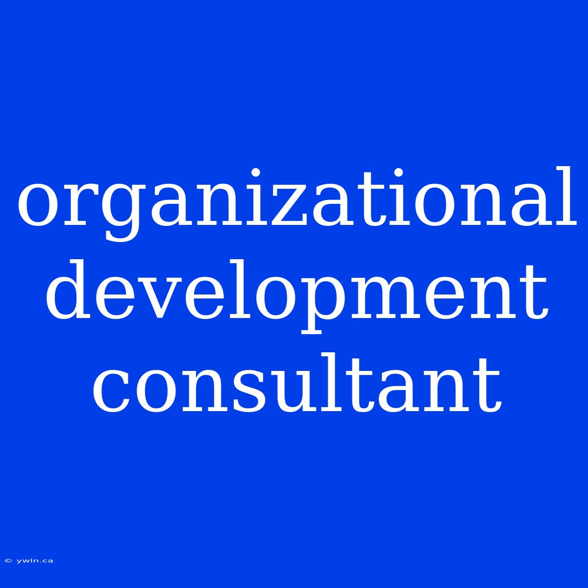 Organizational Development Consultant