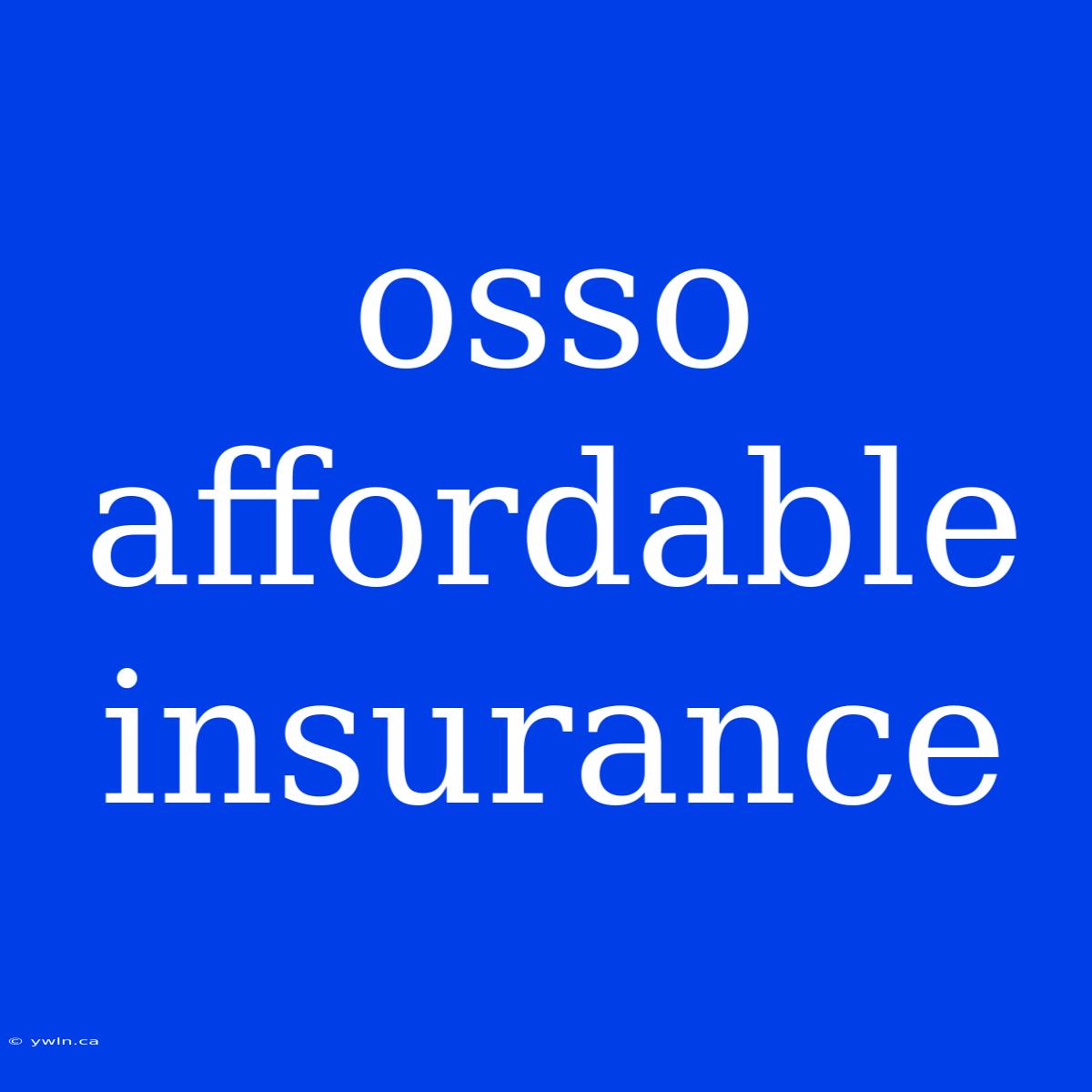 Osso Affordable Insurance