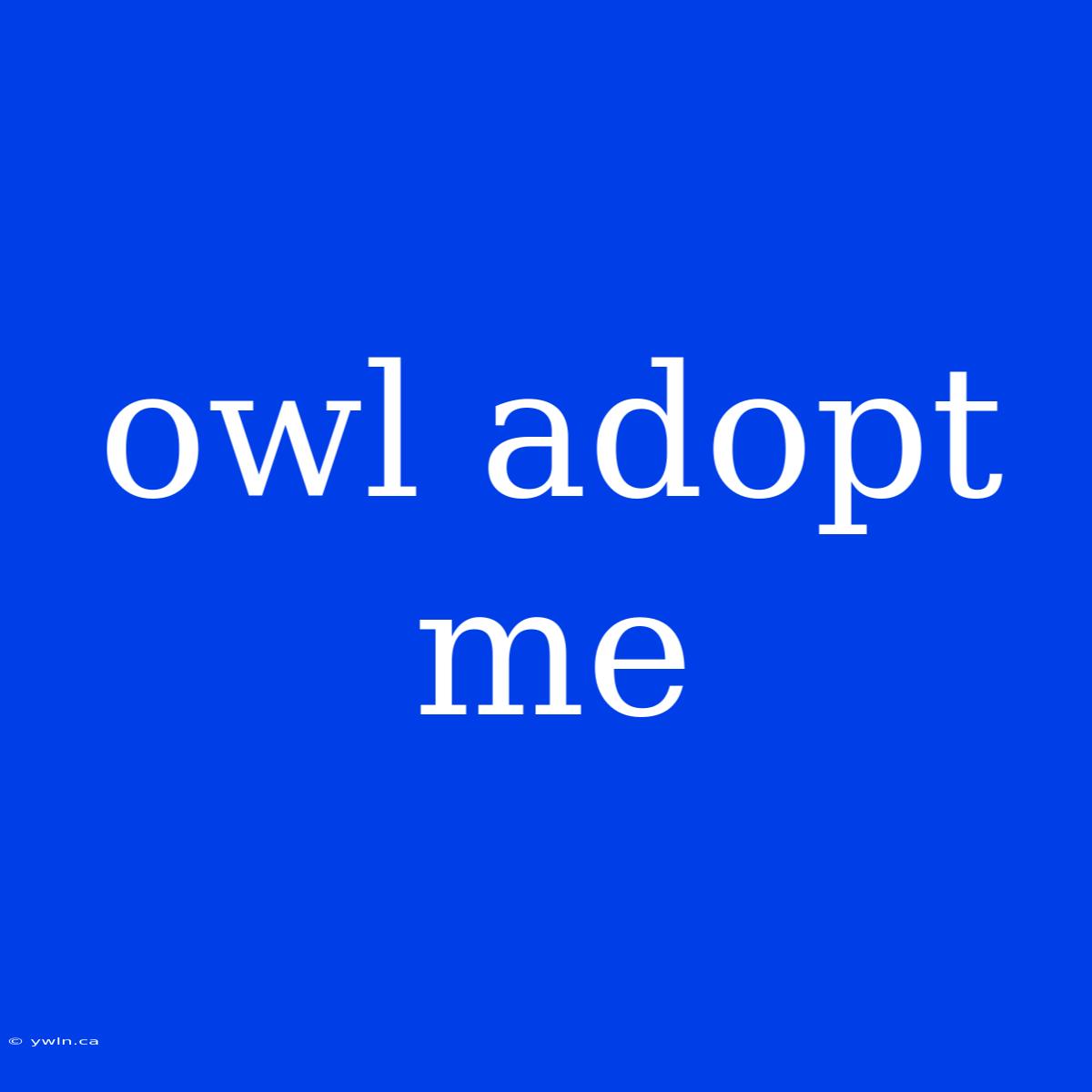 Owl Adopt Me