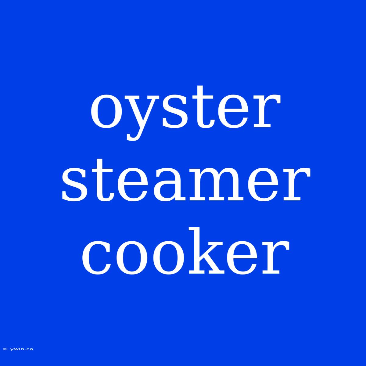 Oyster Steamer Cooker