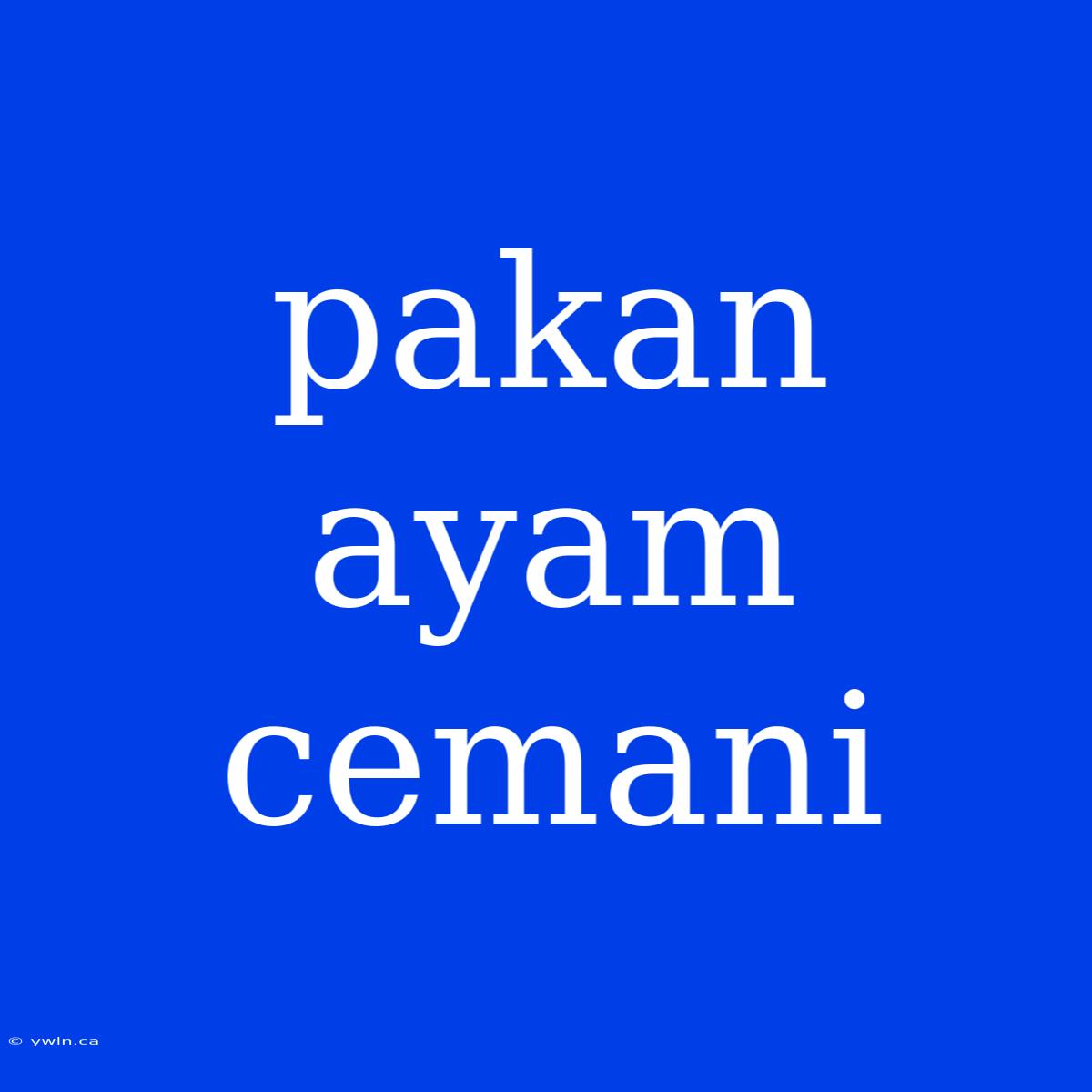 Pakan Ayam Cemani