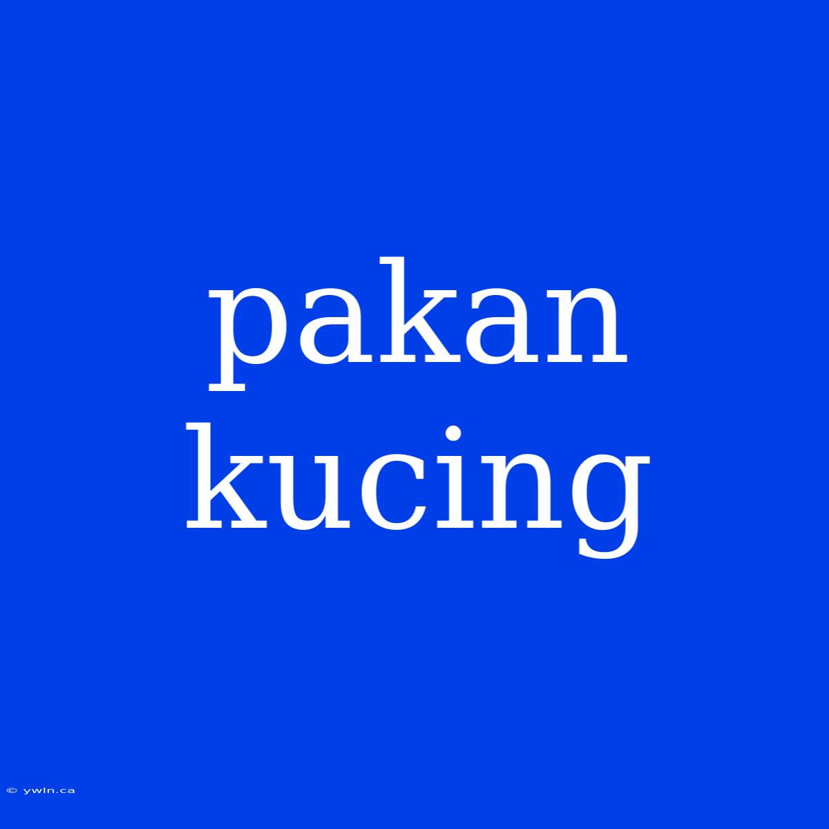 Pakan Kucing