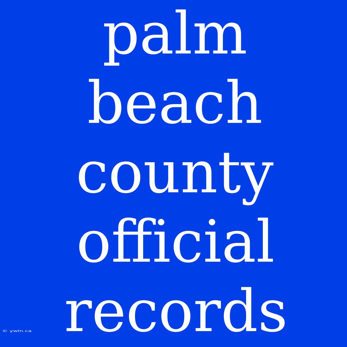 Palm Beach County Official Records