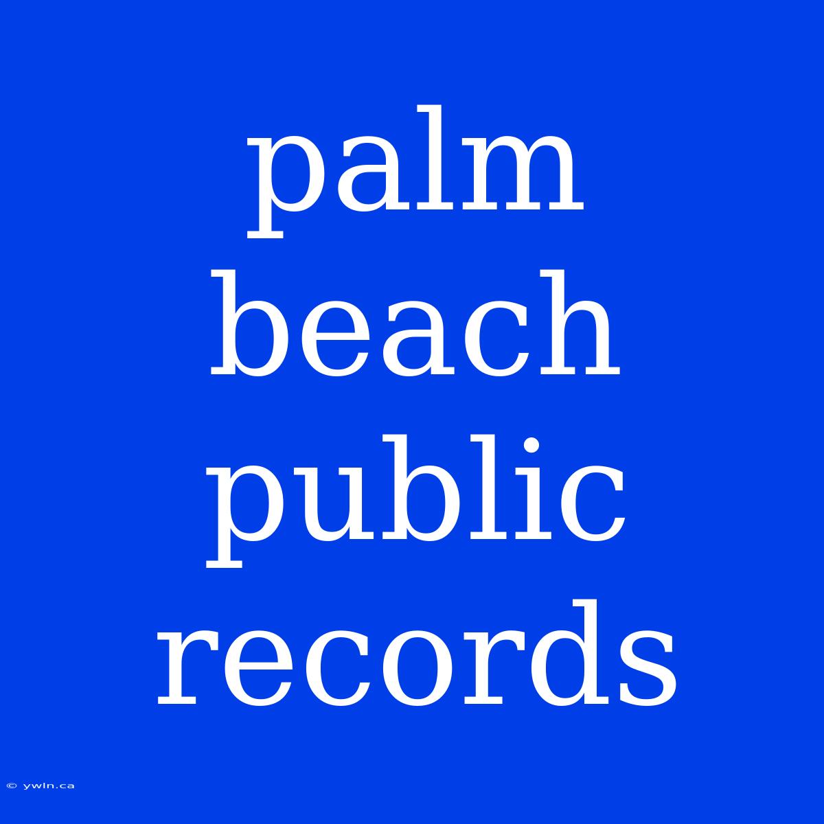 Palm Beach Public Records