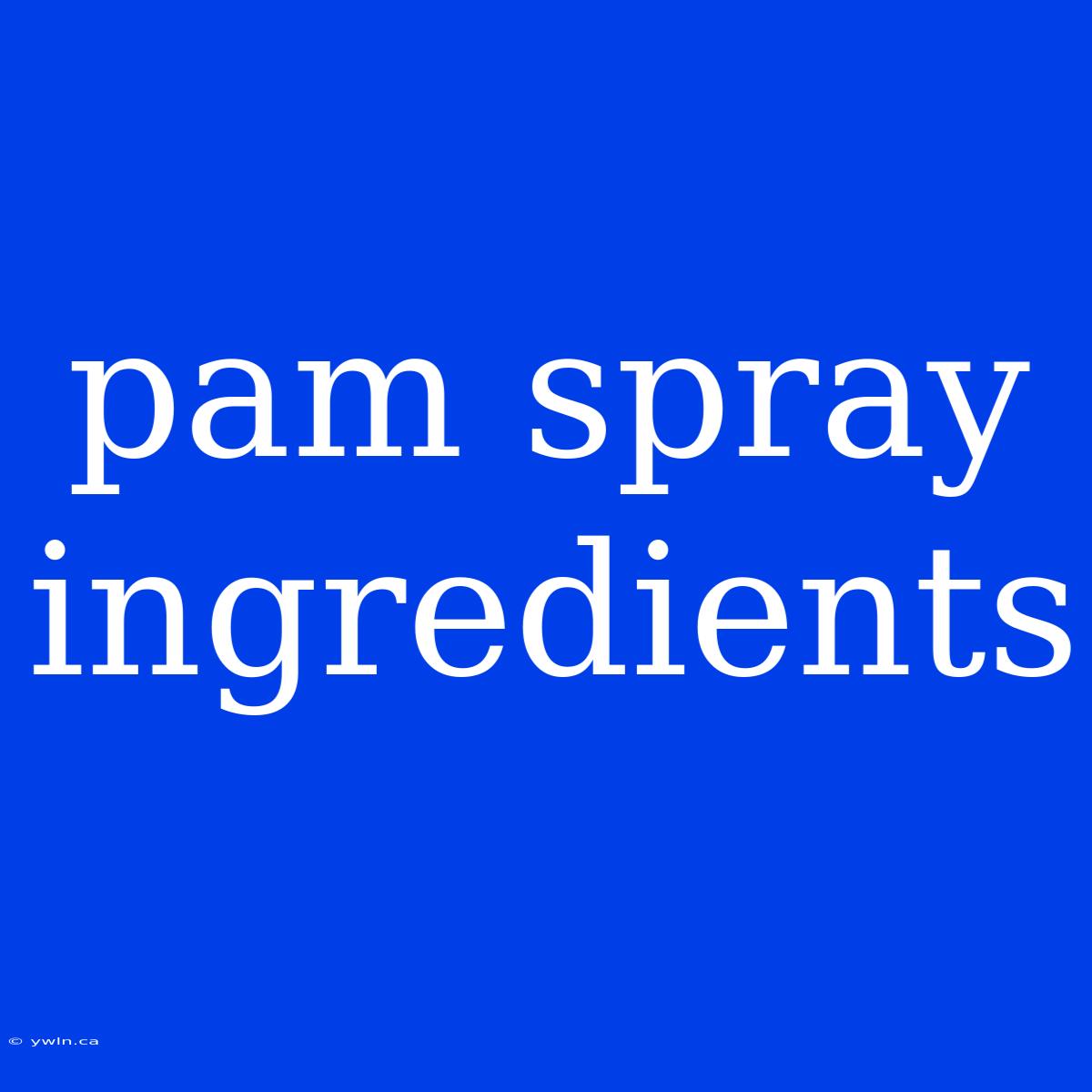 Pam Spray Ingredients