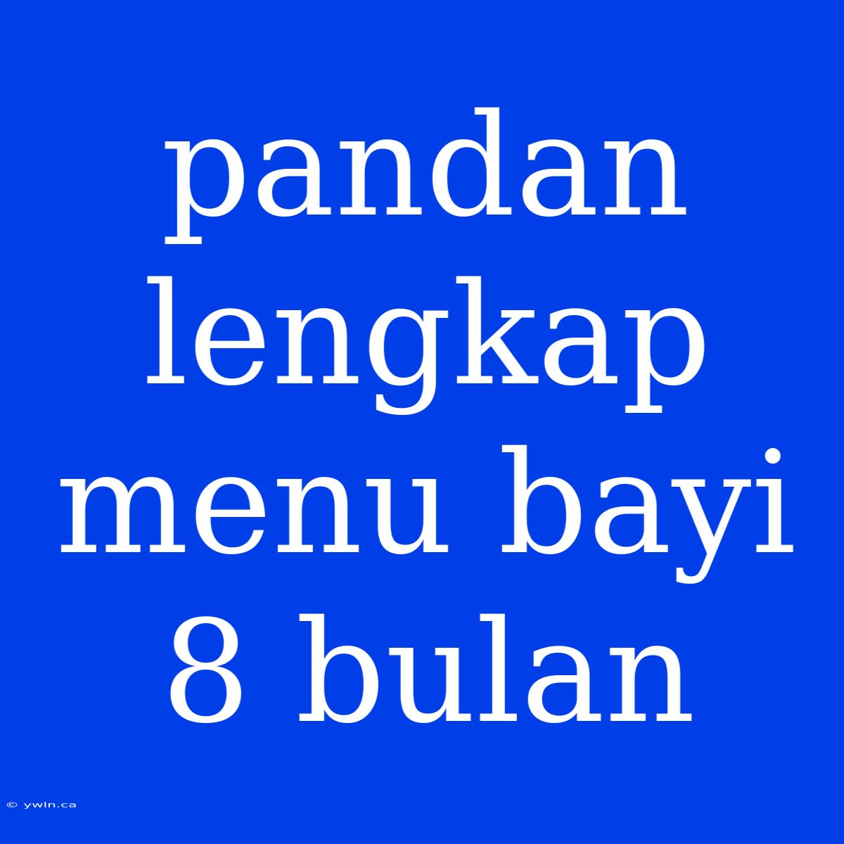 Pandan Lengkap Menu Bayi 8 Bulan