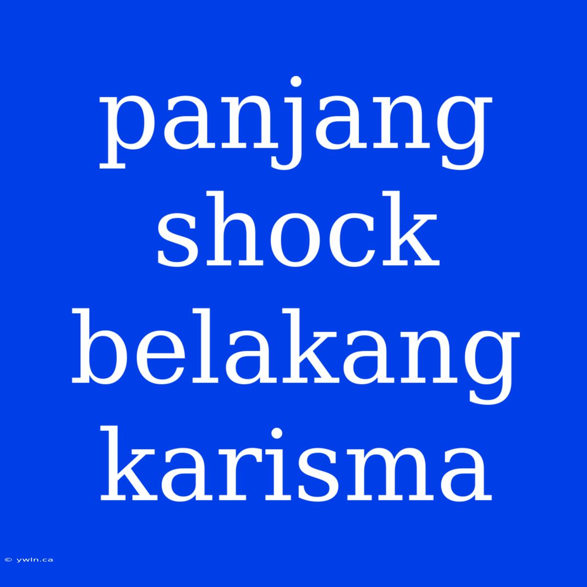 Panjang Shock Belakang Karisma