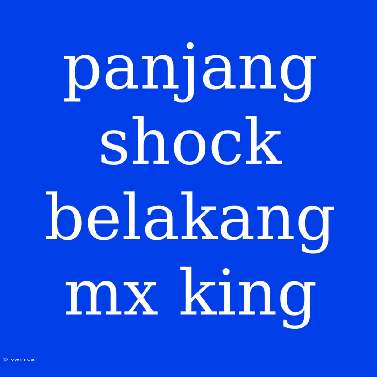 Panjang Shock Belakang Mx King