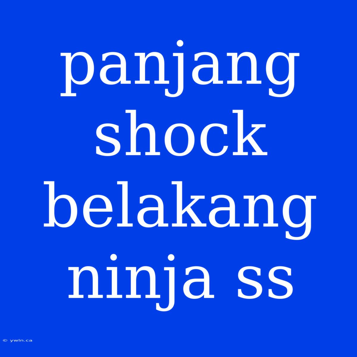 Panjang Shock Belakang Ninja Ss