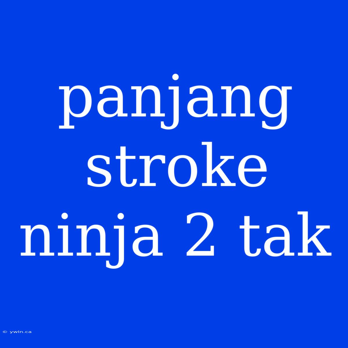 Panjang Stroke Ninja 2 Tak