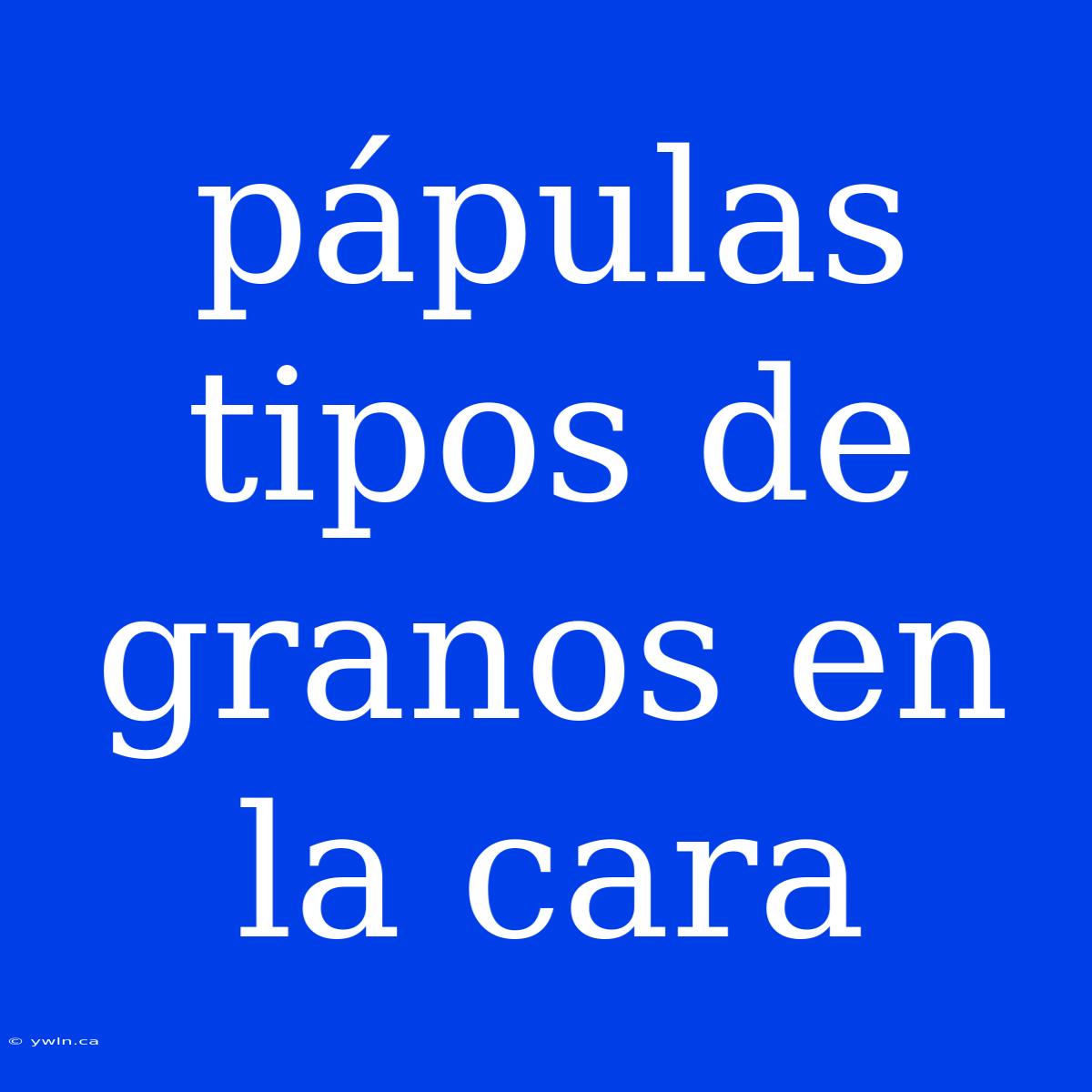 Pápulas Tipos De Granos En La Cara