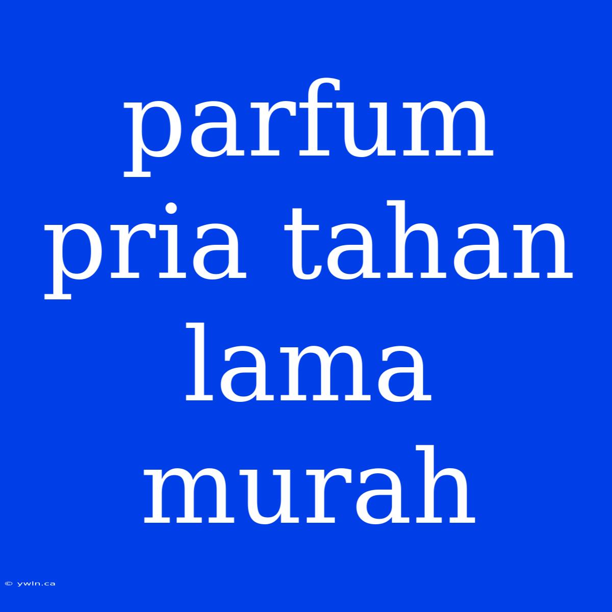 Parfum Pria Tahan Lama Murah