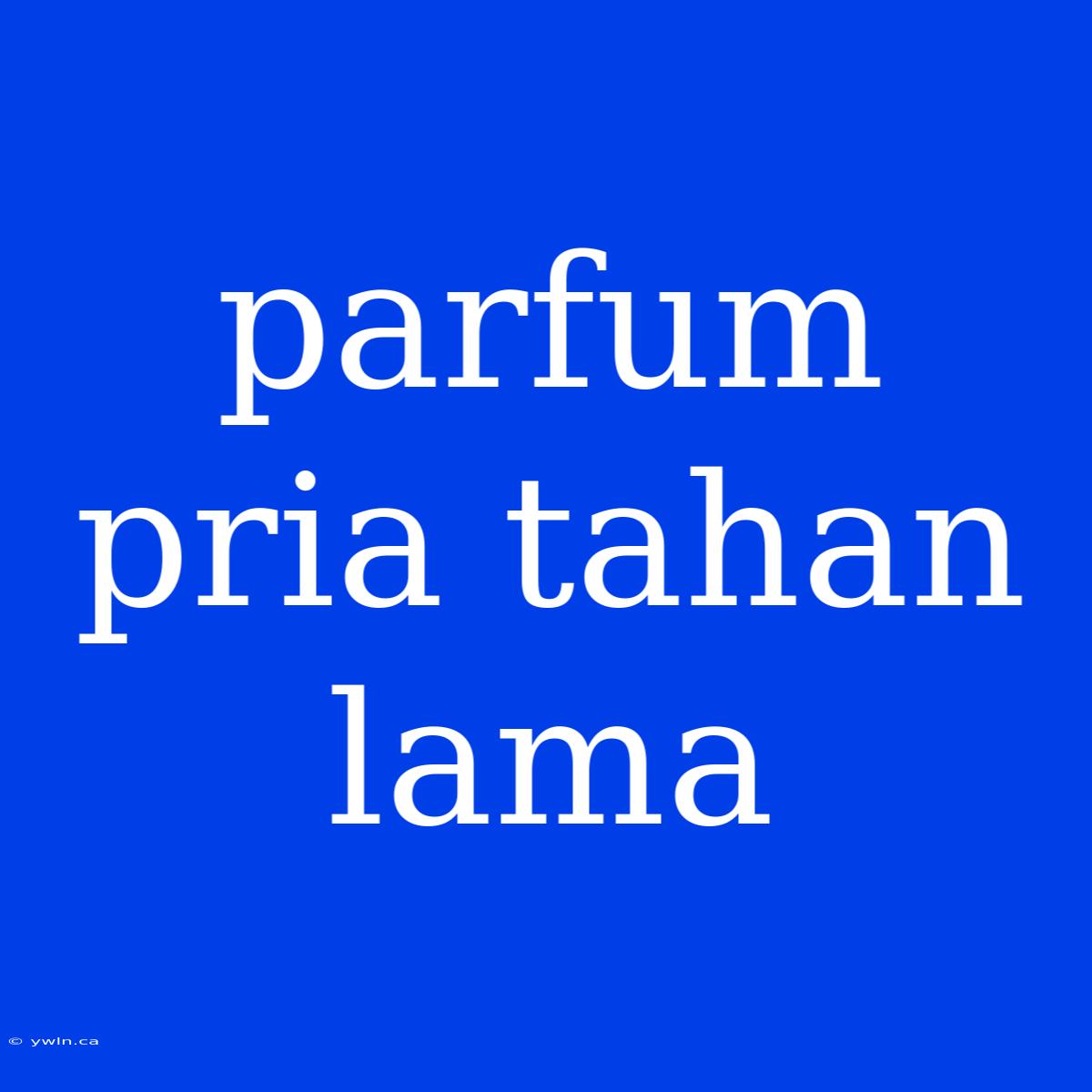 Parfum Pria Tahan Lama