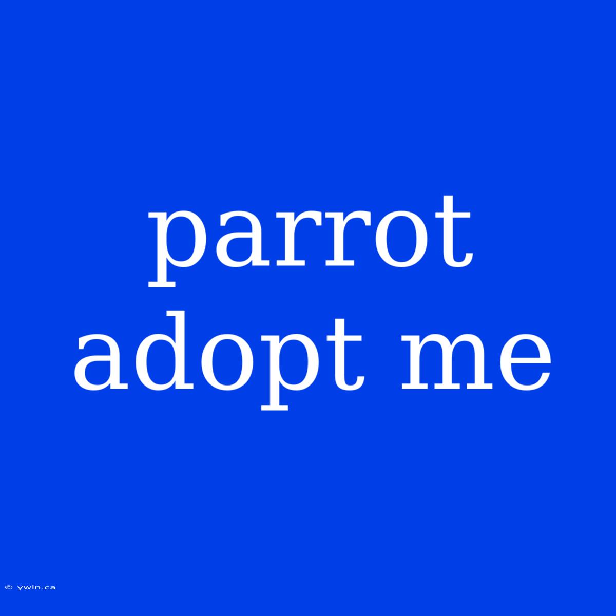 Parrot Adopt Me