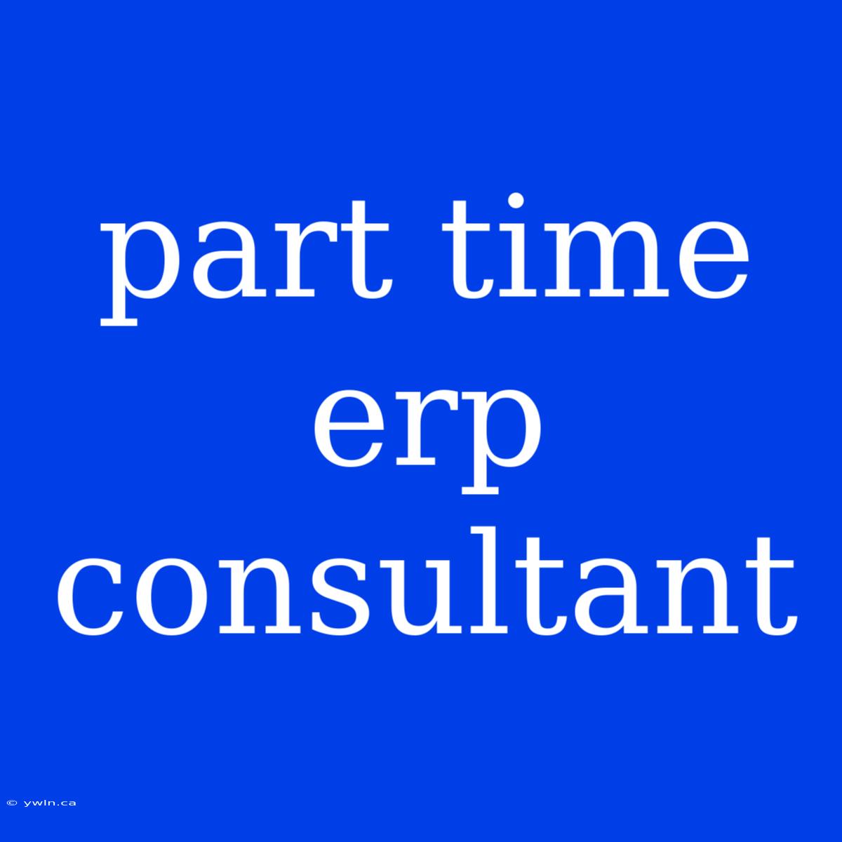 Part Time Erp Consultant