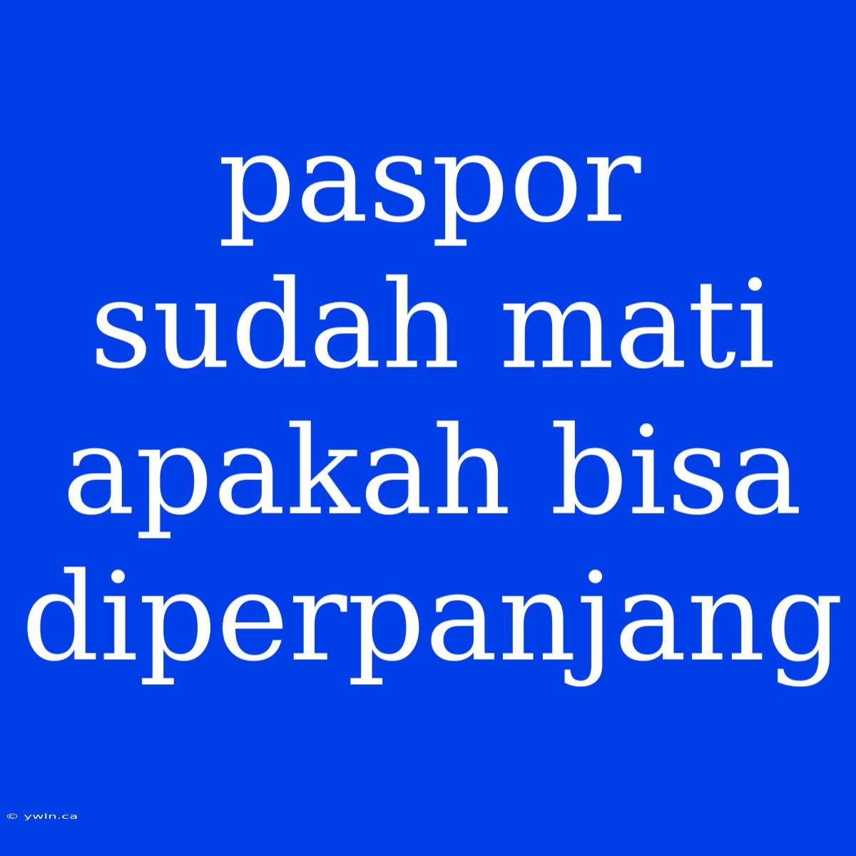 Paspor Sudah Mati Apakah Bisa Diperpanjang