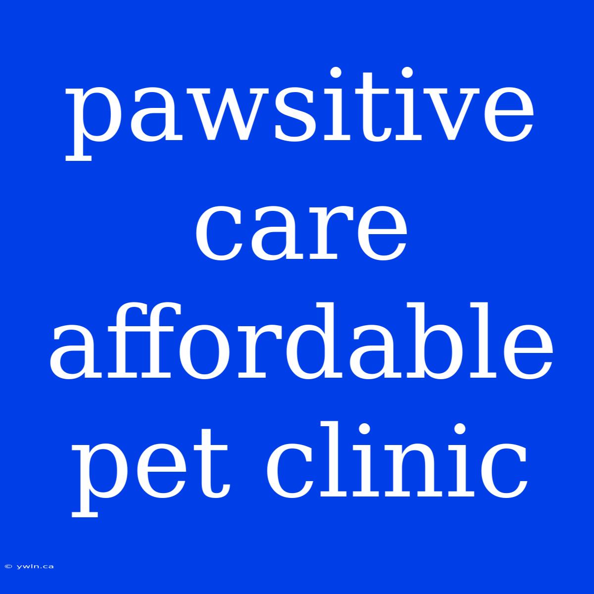 Pawsitive Care Affordable Pet Clinic