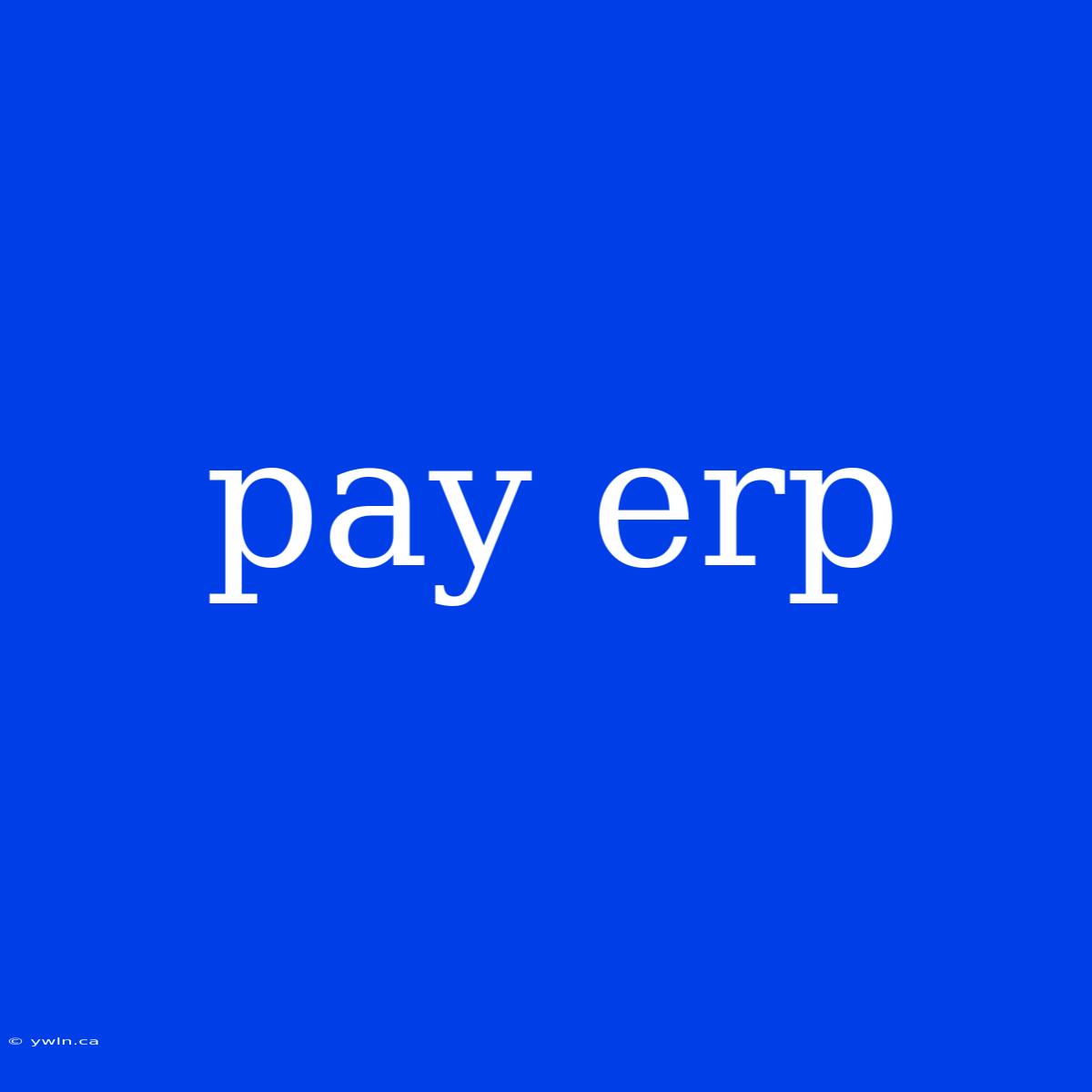 Pay Erp