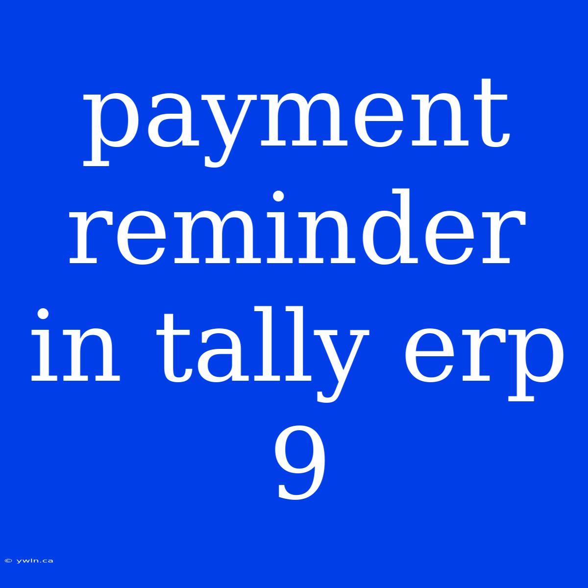 Payment Reminder In Tally Erp 9