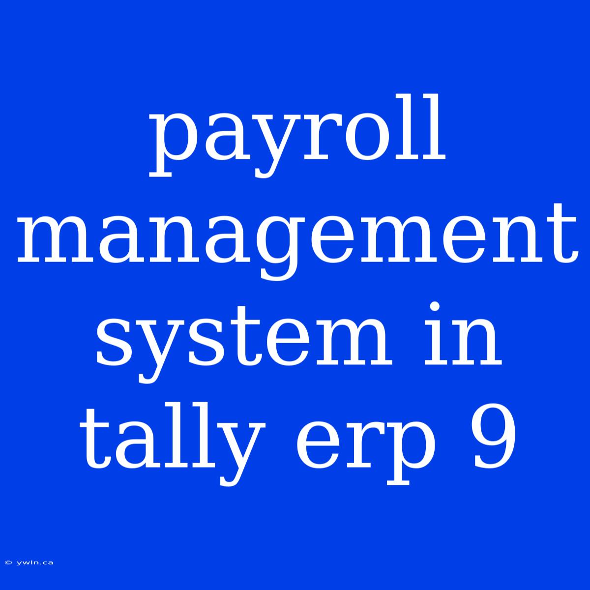 Payroll Management System In Tally Erp 9