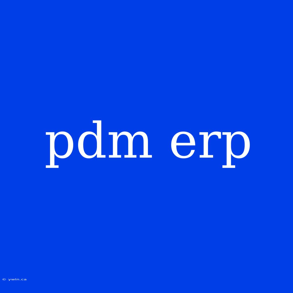 Pdm Erp