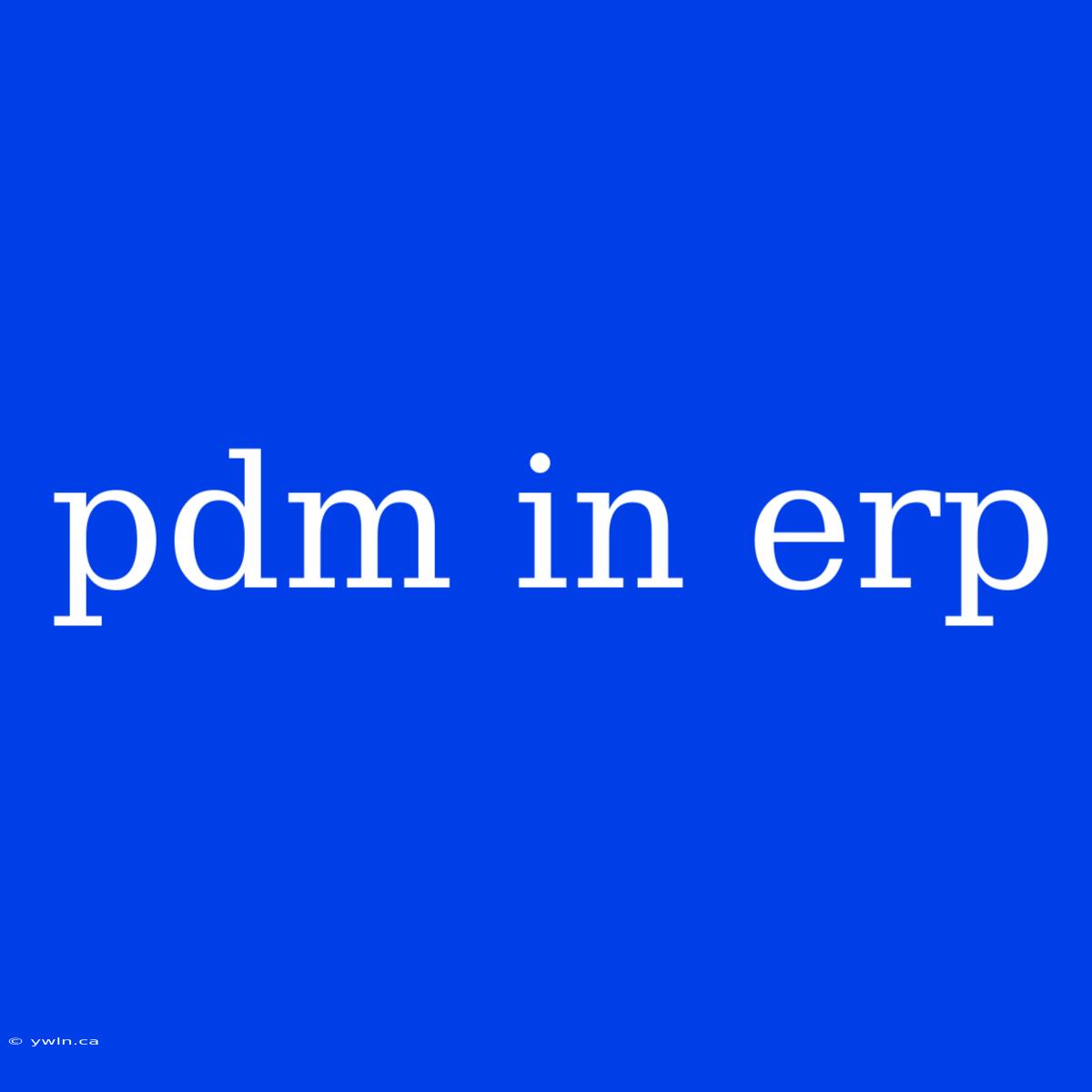 Pdm In Erp