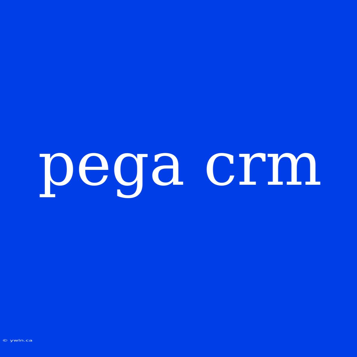 Pega Crm