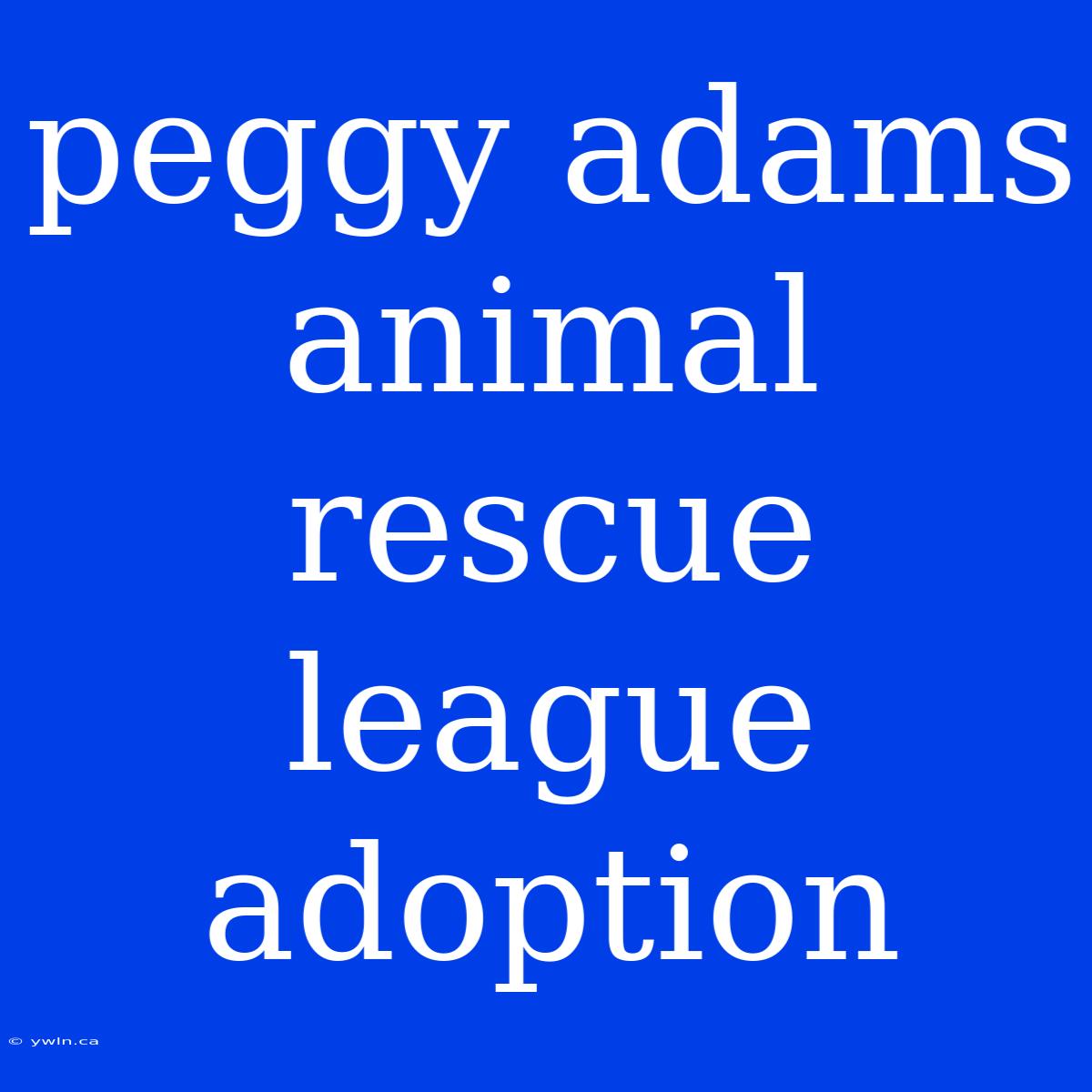 Peggy Adams Animal Rescue League Adoption