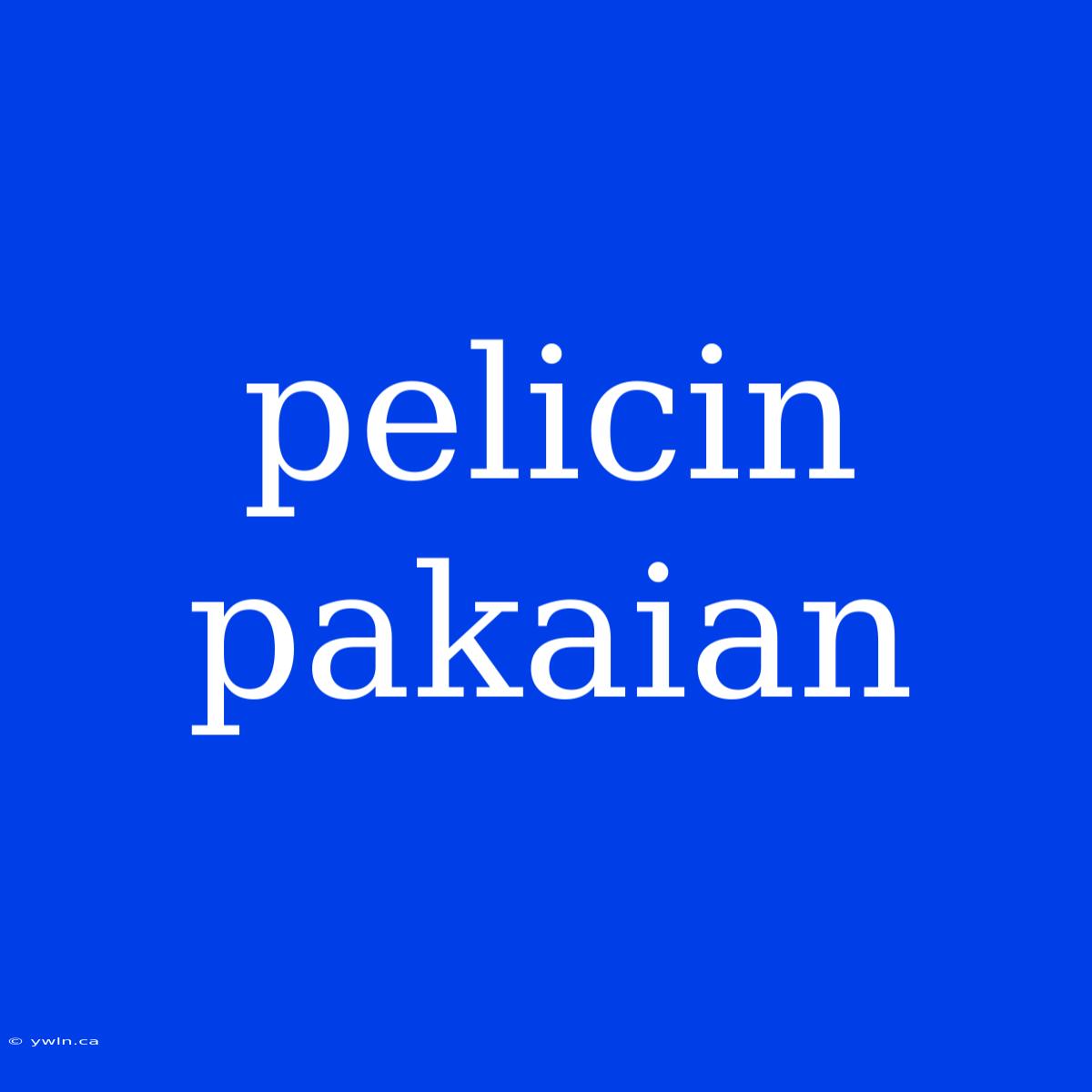 Pelicin Pakaian