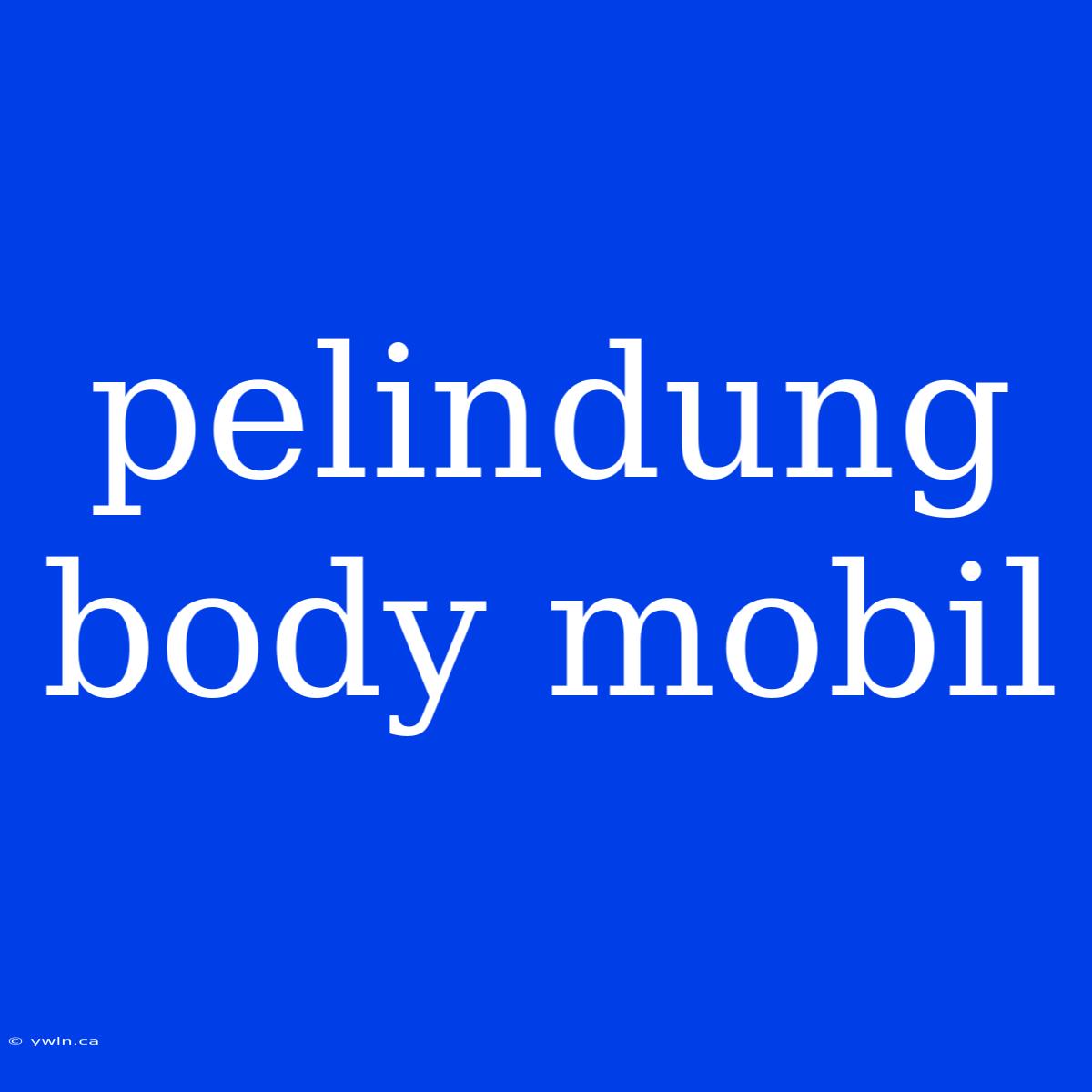 Pelindung Body Mobil