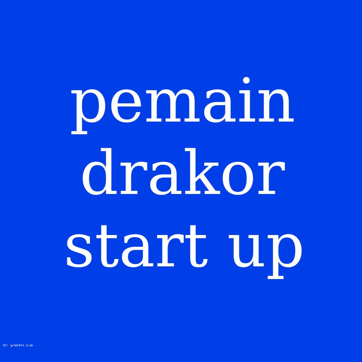 Pemain Drakor Start Up