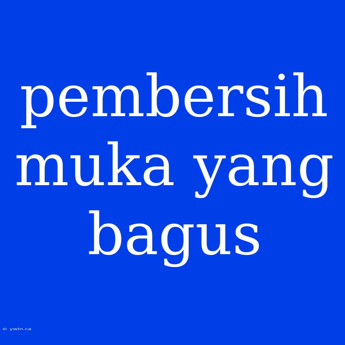 Pembersih Muka Yang Bagus