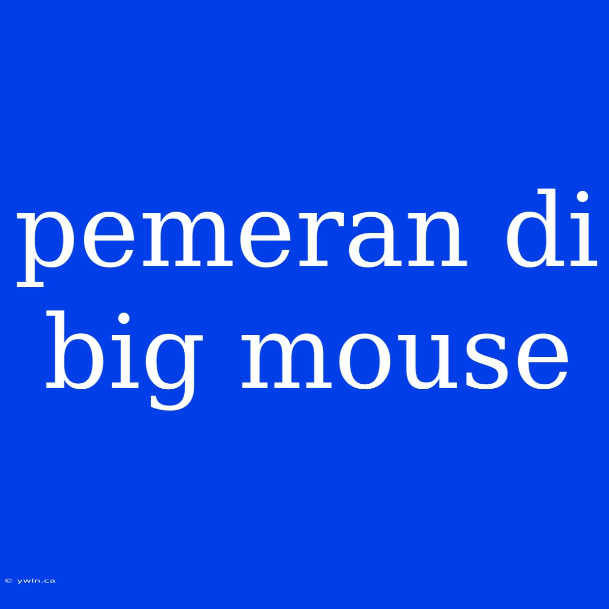 Pemeran Di Big Mouse