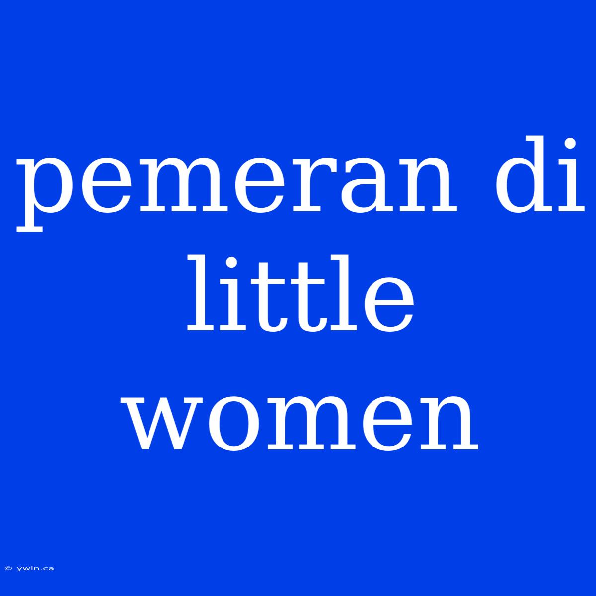 Pemeran Di Little Women