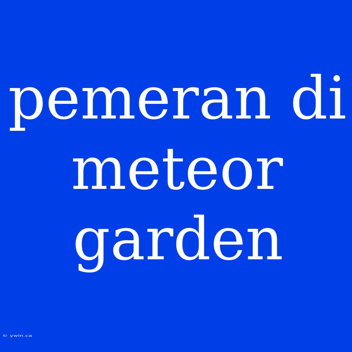 Pemeran Di Meteor Garden