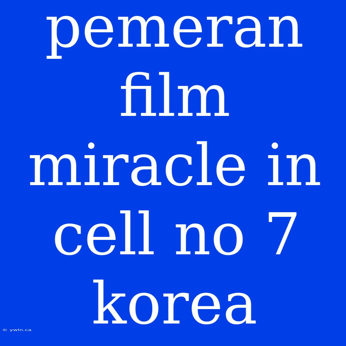 Pemeran Film Miracle In Cell No 7 Korea