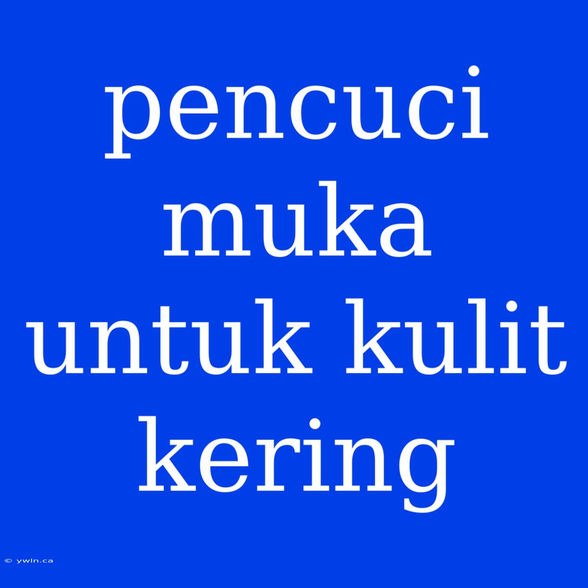 Pencuci Muka Untuk Kulit Kering