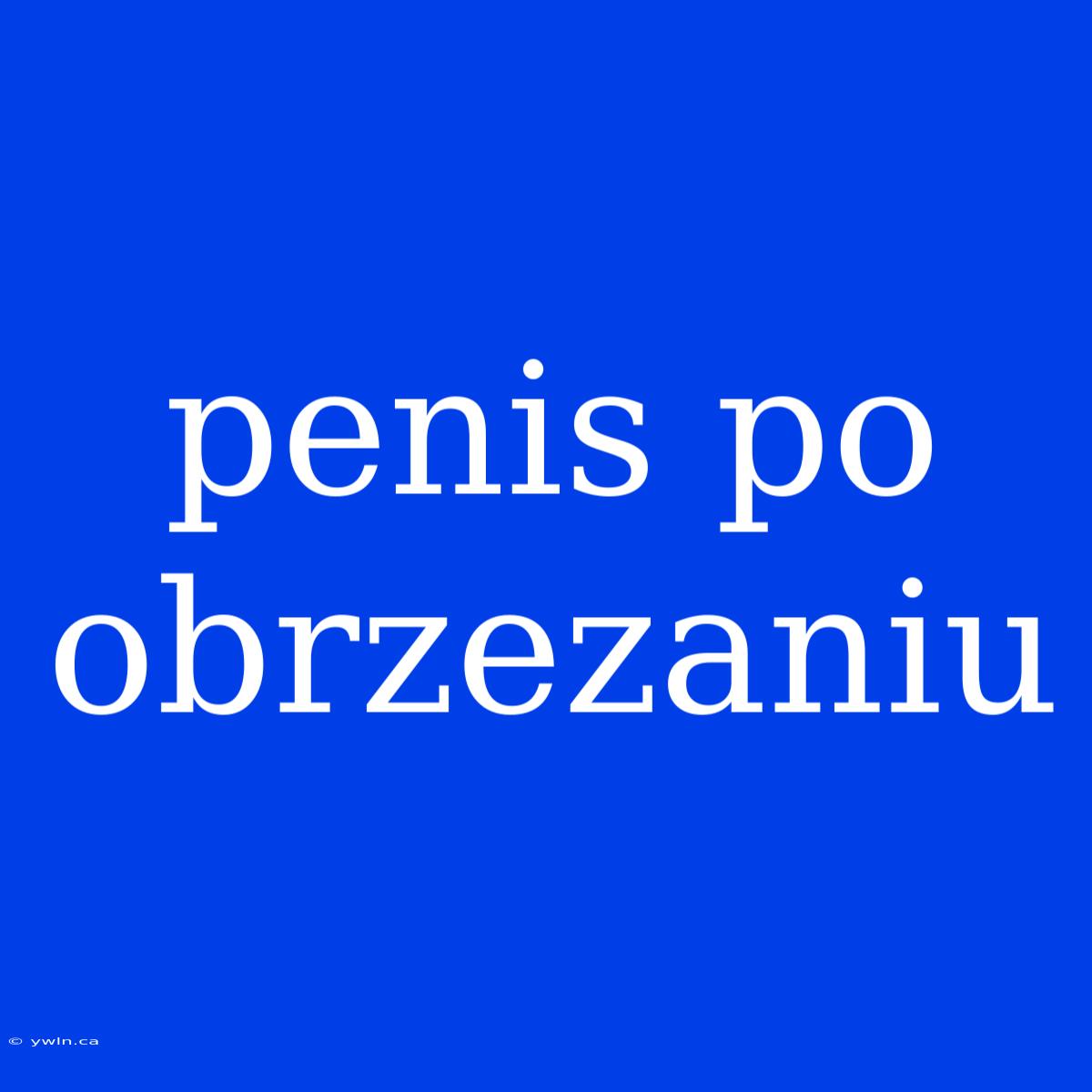 Penis Po Obrzezaniu