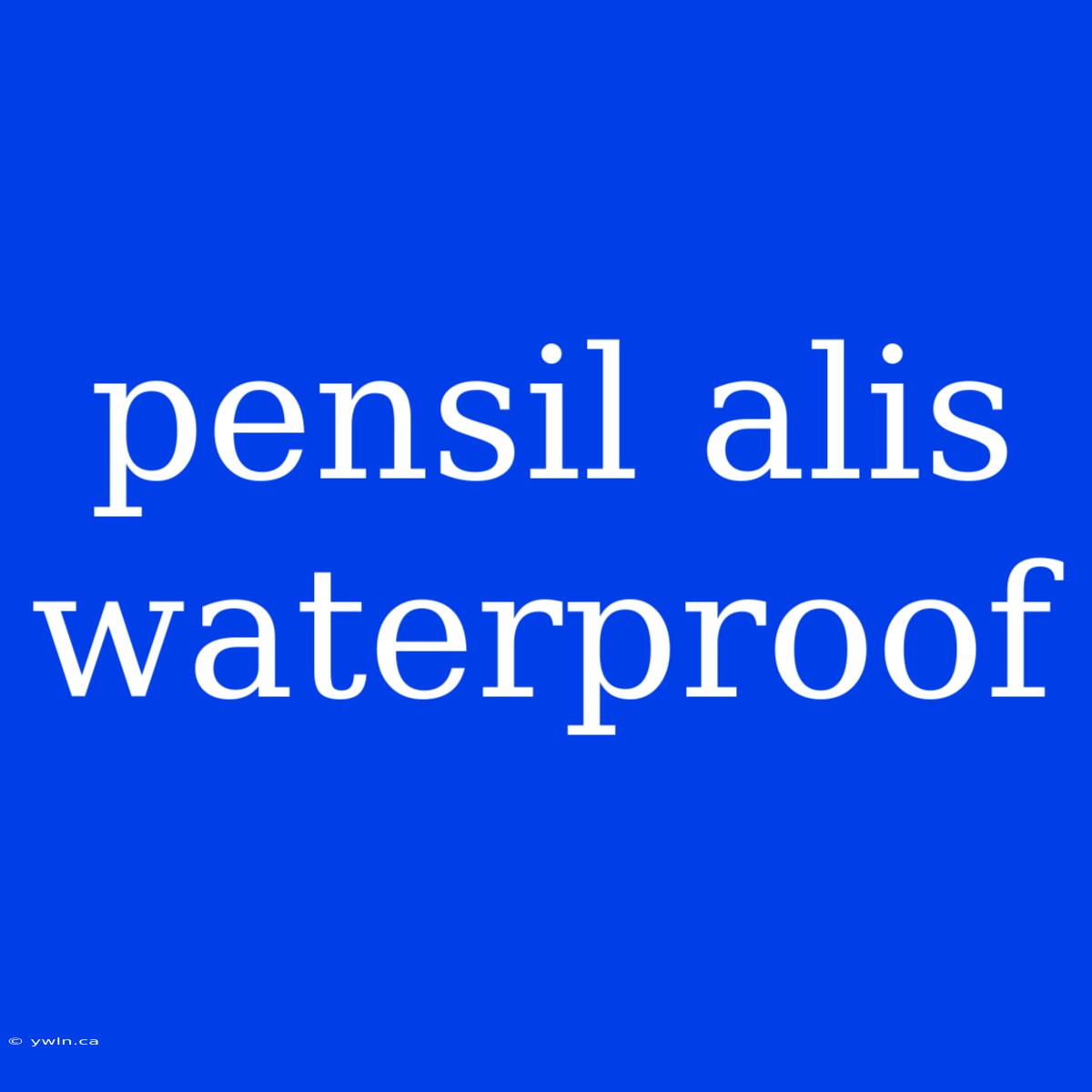 Pensil Alis Waterproof