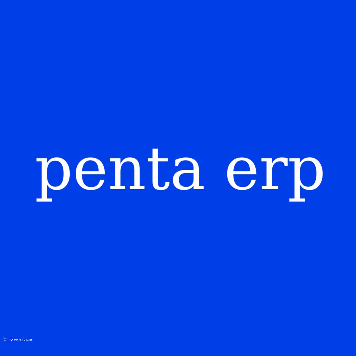 Penta Erp