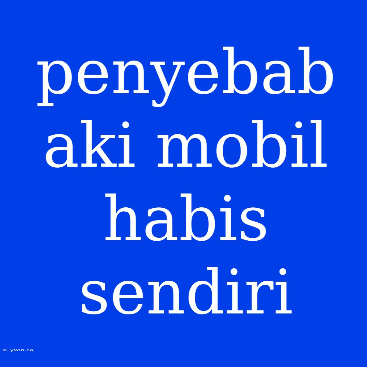 Penyebab Aki Mobil Habis Sendiri