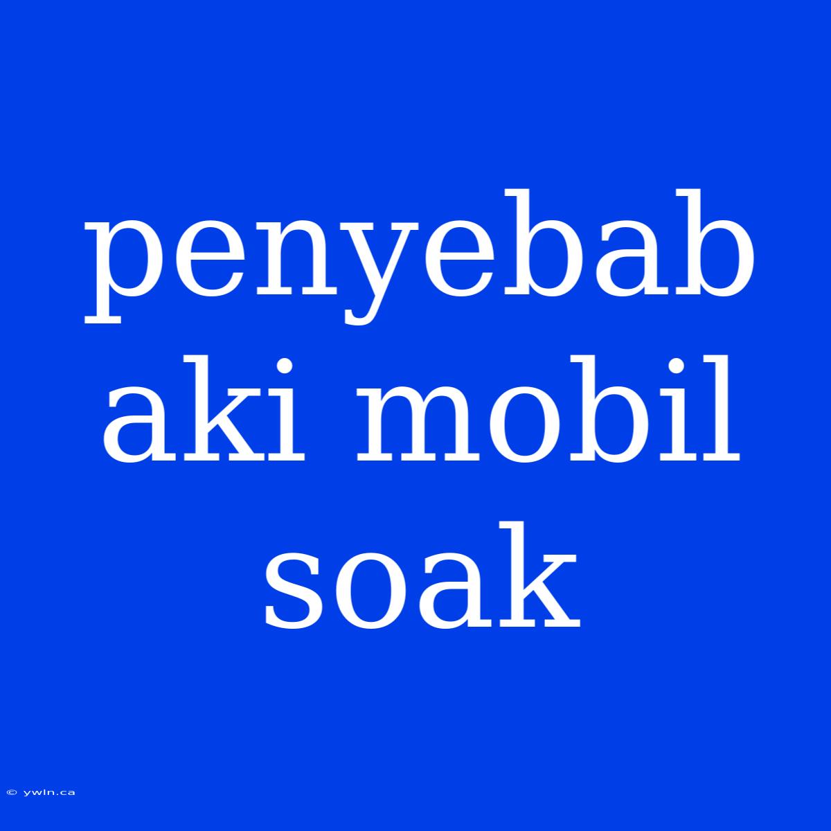 Penyebab Aki Mobil Soak