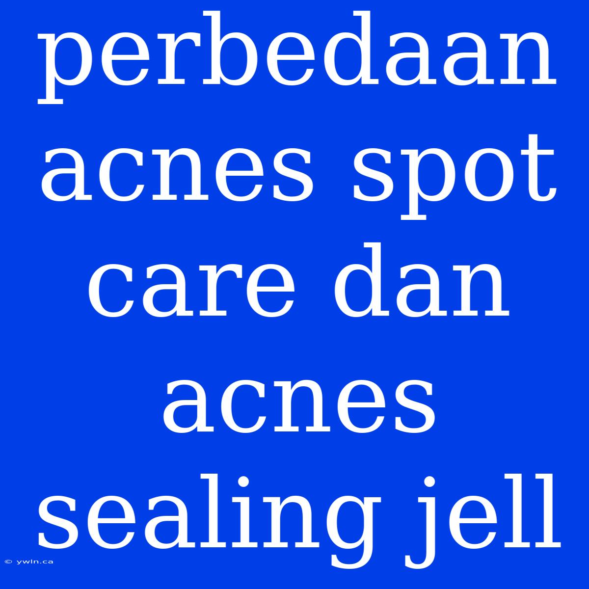 Perbedaan Acnes Spot Care Dan Acnes Sealing Jell