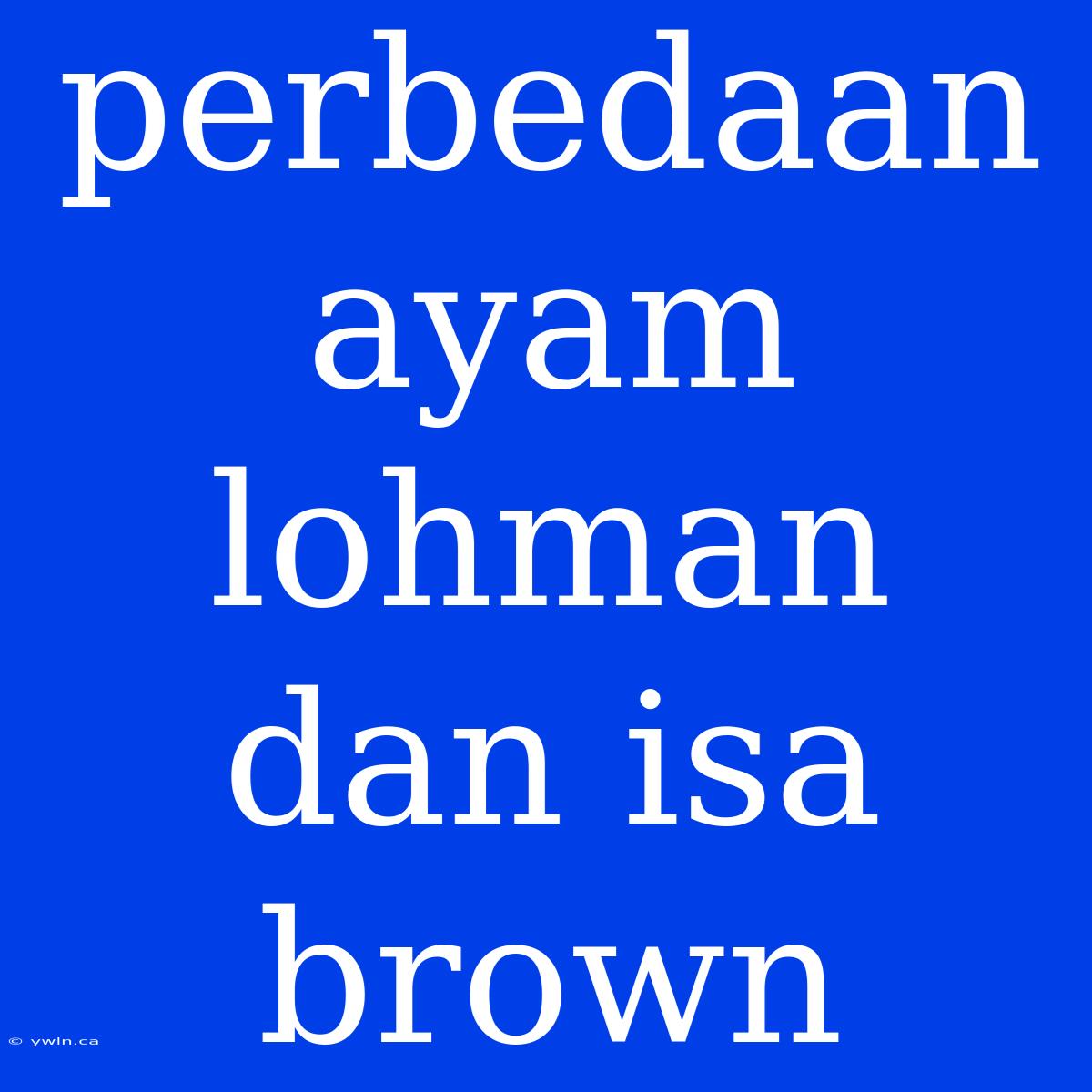 Perbedaan Ayam Lohman Dan Isa Brown