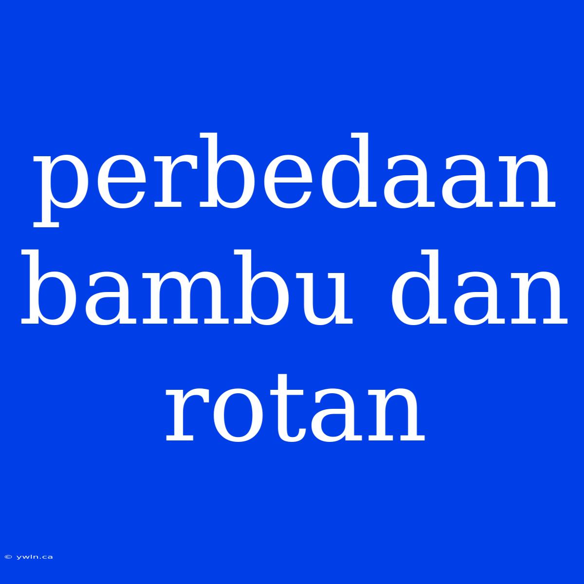 Perbedaan Bambu Dan Rotan