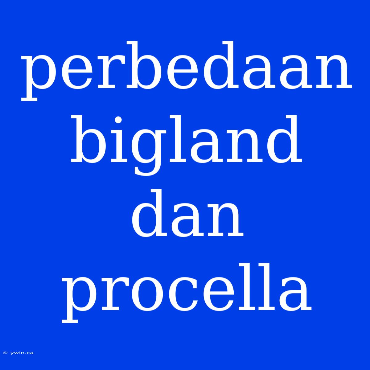 Perbedaan Bigland Dan Procella