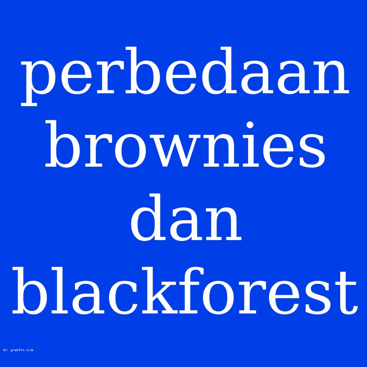 Perbedaan Brownies Dan Blackforest