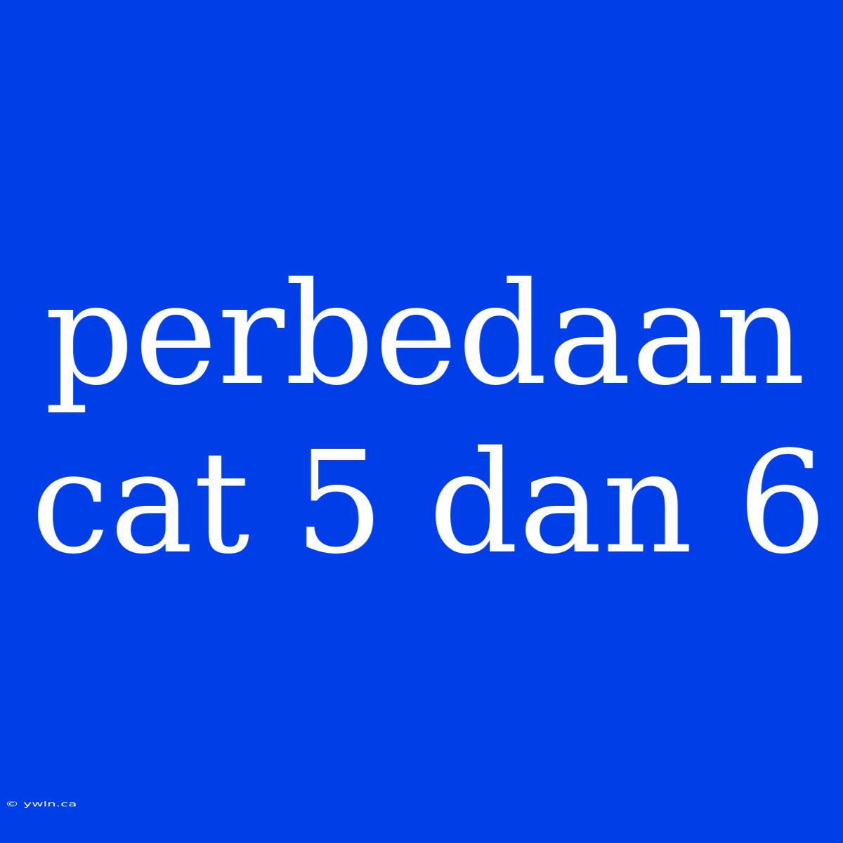 Perbedaan Cat 5 Dan 6